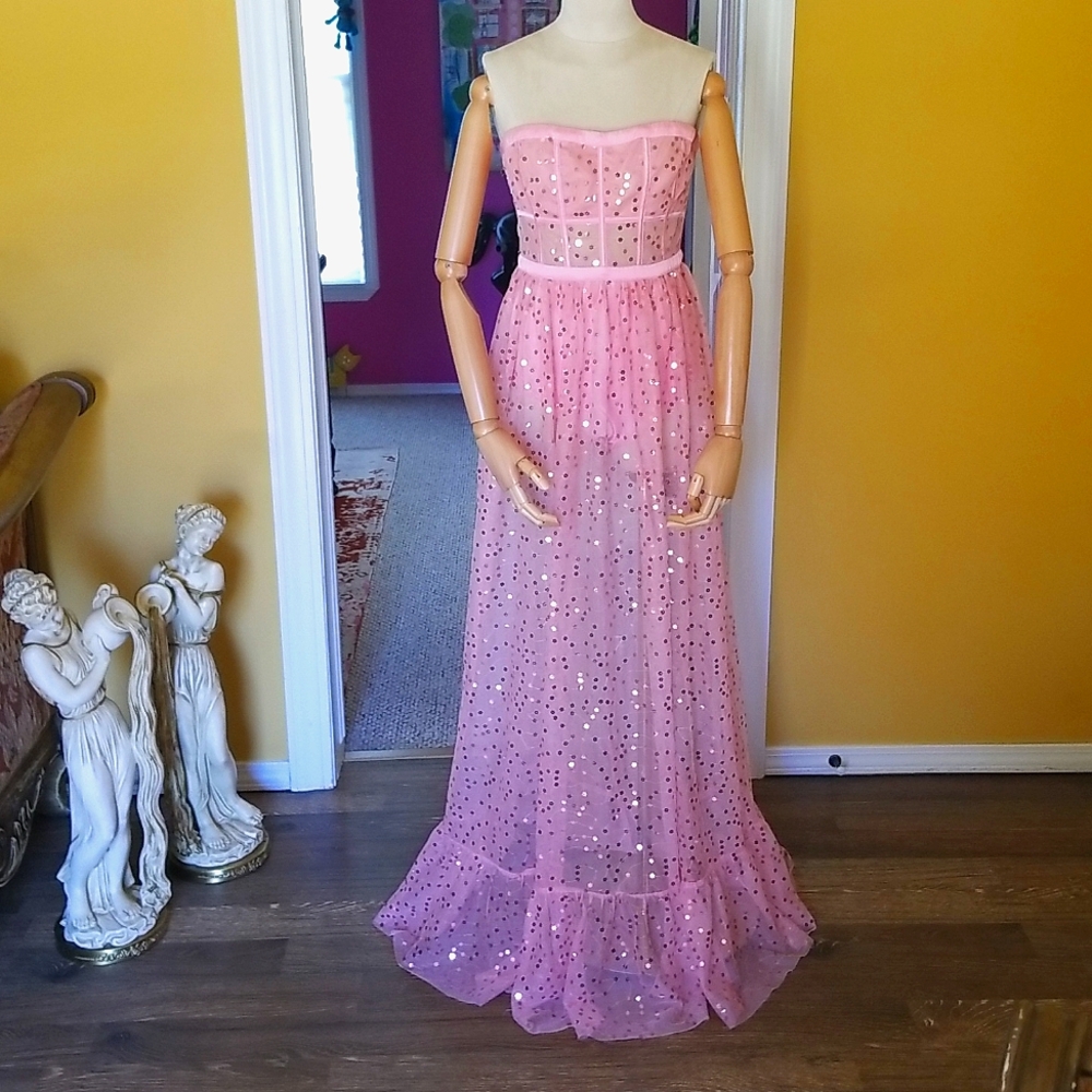 For Love and Lemons Sheer Pink Floral Dress